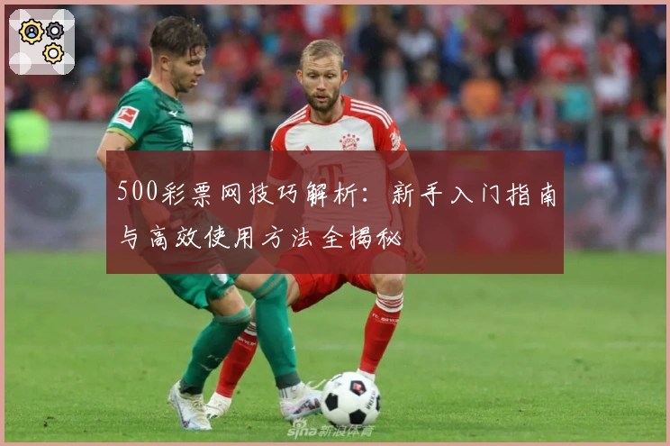 500彩票网技巧解析：新手入门指南与高效使用方法全揭秘