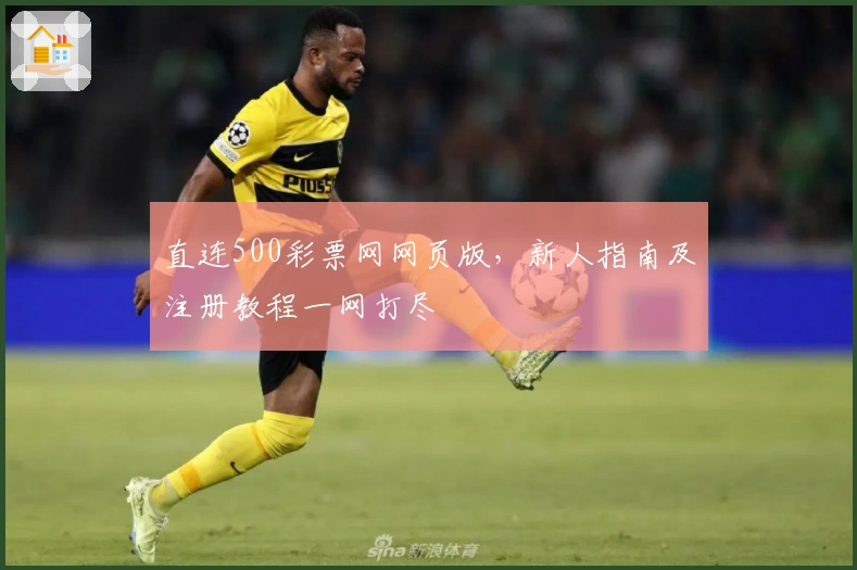 直连500彩票网网页版，新人指南及注册教程一网打尽