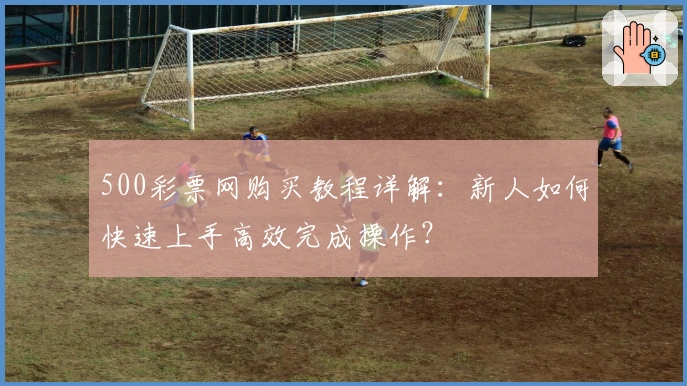 500彩票网购买教程详解：新人如何快速上手高效完成操作？