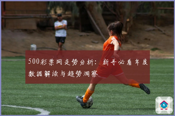 500彩票网走势分析：新手必看年度数据解读与趋势洞察